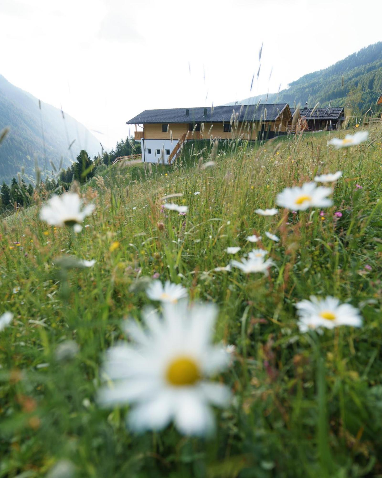 Blosegghof Bergchalets Waldblick Racines Exterior foto